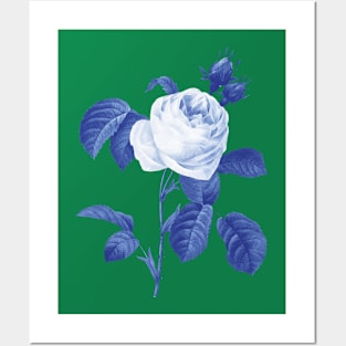 Blue botanic Posters and Art